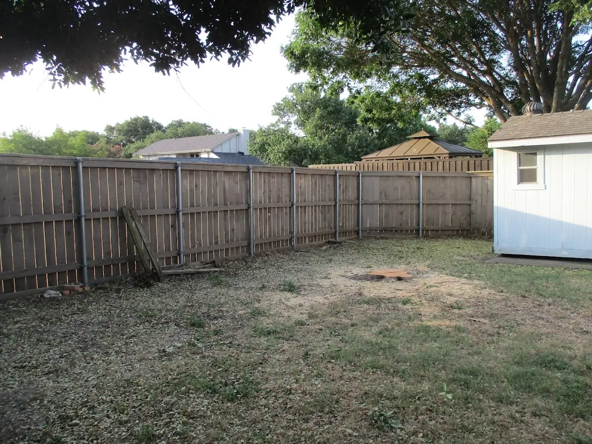 Cleared yard after professional tree removal in Gila